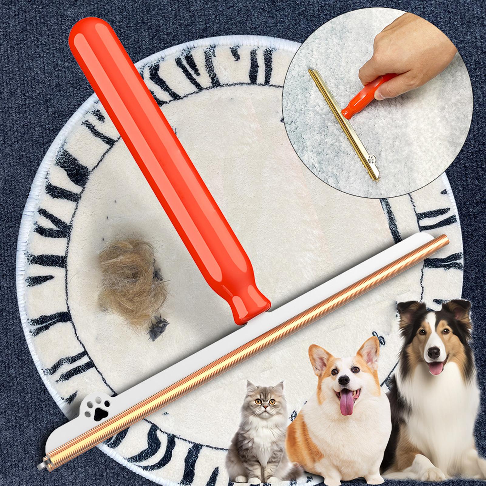 Râteau à tapis pour enlever le - Furniture Hardware Parts avis et prix